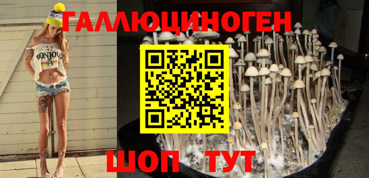 Псилоцибиновые грибы Cubensis Можайск