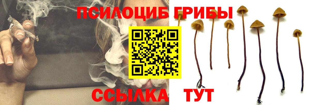 Псилоцибиновые грибы GOLDEN TEACHER  Псилоцибиновые грибы Magic Shrooms  Вход с VPN  Можайск 